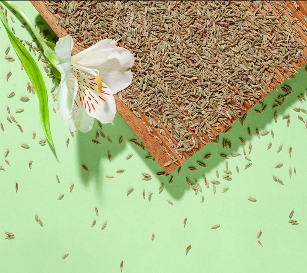Cumin Seeds